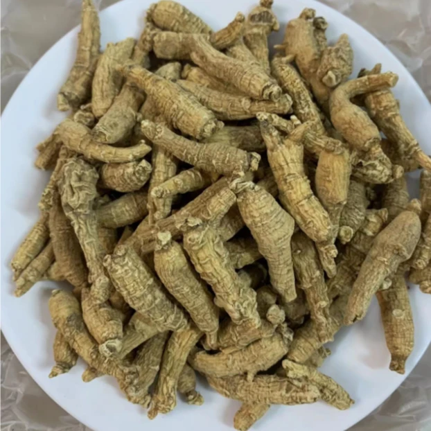 花旗参1元一条 30条