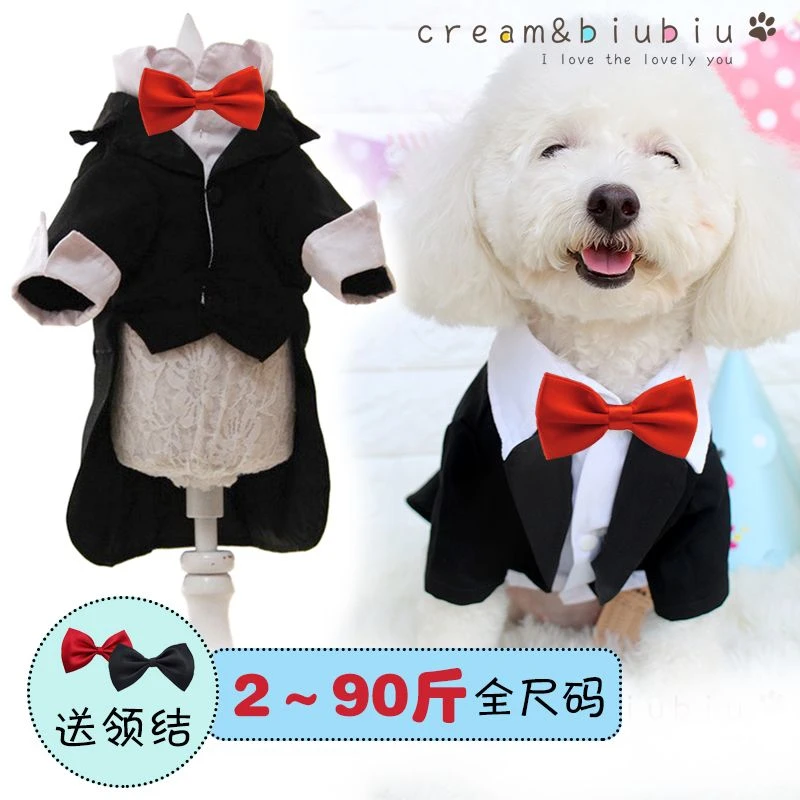 宠物狗猫咪衣服夏秋冬季结婚照衬衫西装礼服燕尾服假两件泰迪比熊