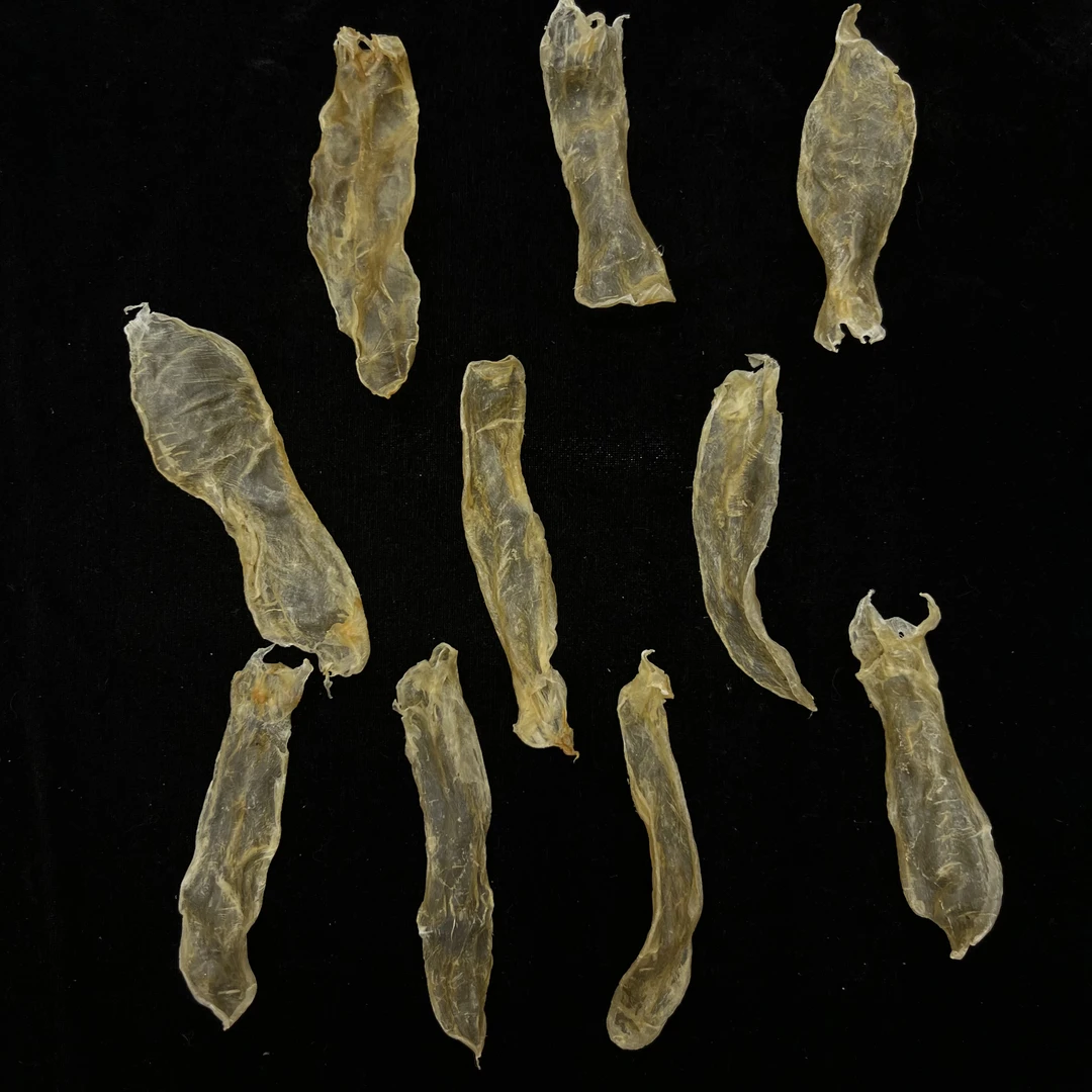 【周百润】鱼胶花胶 小分量试吃装