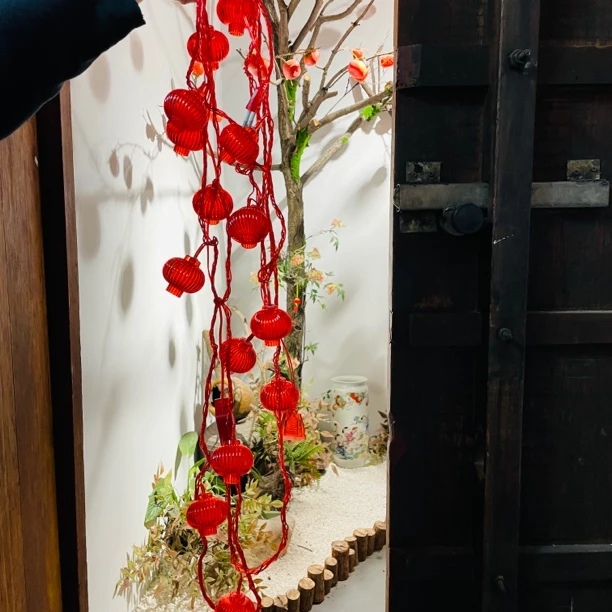 16 头插电彩灯可串联