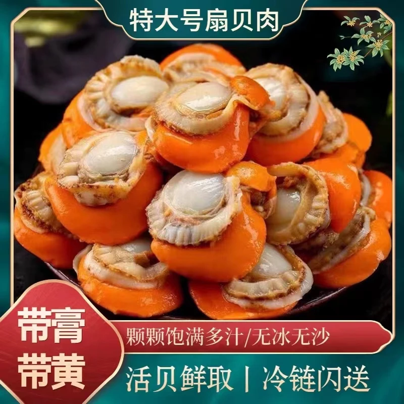 山东海捕大号扇贝肉20-40规格当季现剥速冻海鲜水产顺丰冷链包邮