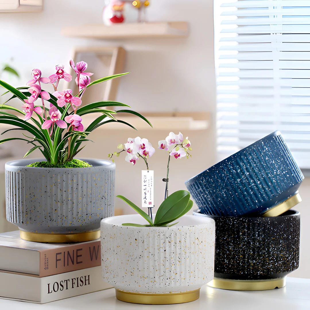 雪束陶瓷花盆特价包邮捡漏带托盘家用多肉郁金香玫瑰花高颜值轻奢