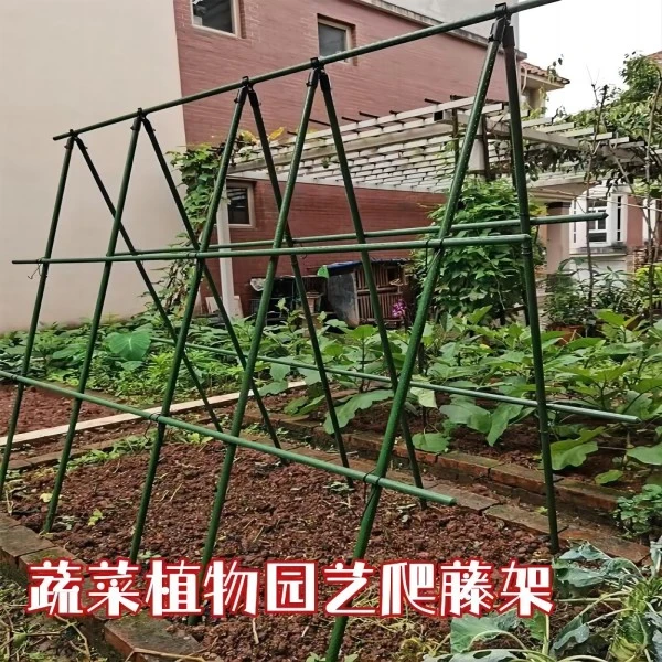 爬藤架葡萄黄瓜四季豆支架种菜花支架庭院园艺花卉植物支撑杆架子