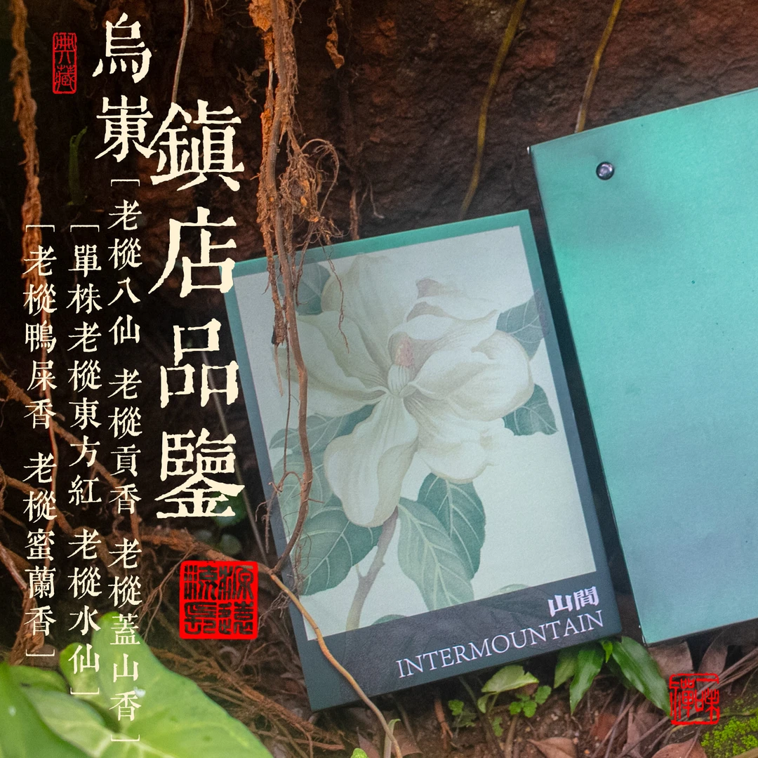 珍藏高货合集 | 乌岽老枞品鉴  |  品鉴装7泡