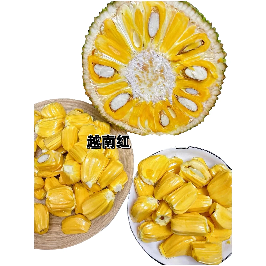 【3现切开口果】越南红肉菠萝蜜-切半带皮 （收到货后 放1-2天食用更佳）2-20斤京东顺丰包邮越南