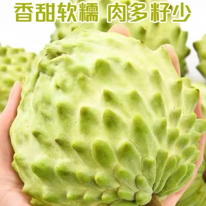 花果【中通专享】云南高原牛奶凤梨释迦果番荔枝3斤 5斤装 软糯香甜