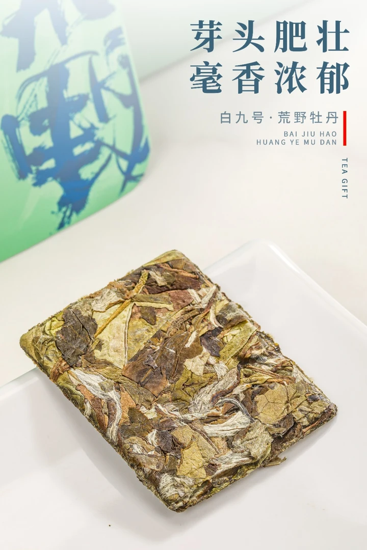 白九号荒野白牡丹白茶明前头采牡丹正宗高山首日芽新茶叶