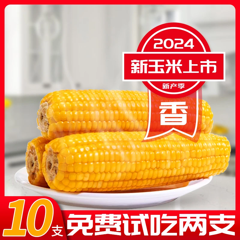 2024年头茬东北黄糯玉米10支280-350g/根整箱6.5斤铝箔装试吃两支