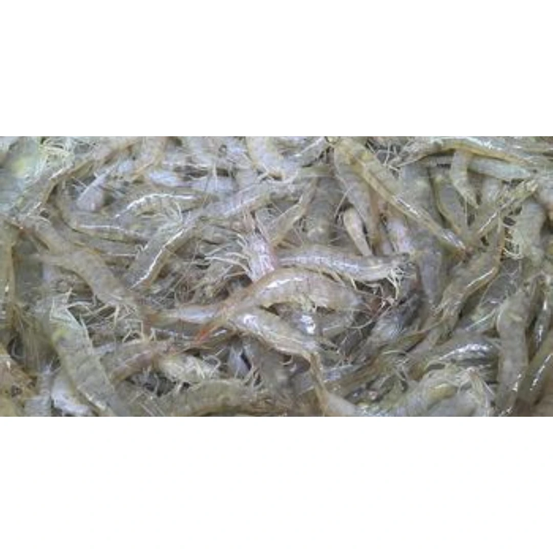 【直播间下单为准】(广东省海陵岛现场代买主播现称)新鲜海捕杂虾