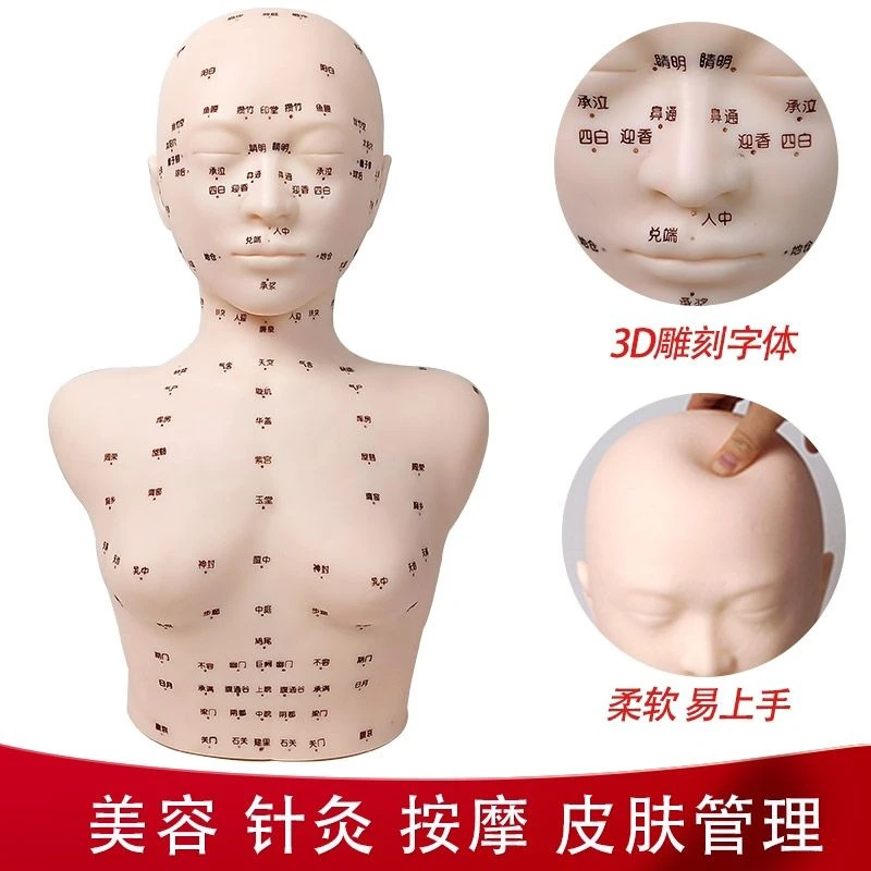 皮肤管理头模美容院练手按摩头脸部穴位学习带肩膀假人光头模型