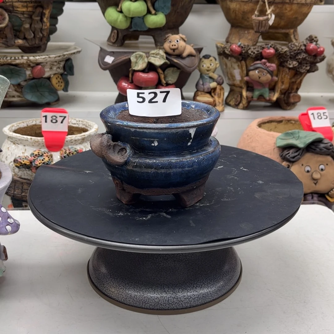 红陶20CM以下魔**菜花盆912香菜已发