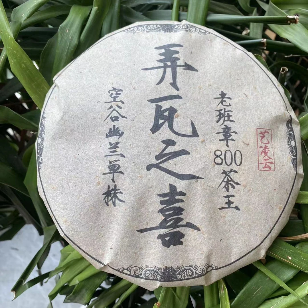 雨腾古茶 弄瓦之喜老班章800茶王空谷幽兰单株357g/饼 生茶