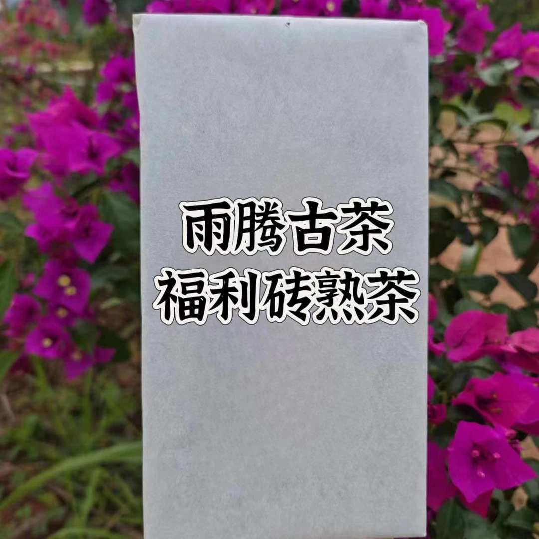 雨腾古茶 宝Z砖W 万S龙T 古树普洱茶1000g/砖 熟茶