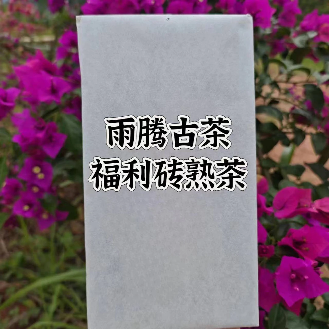 雨腾古茶 宫里造物舌尖上的普洱天下DY砖1000g/砖 熟茶