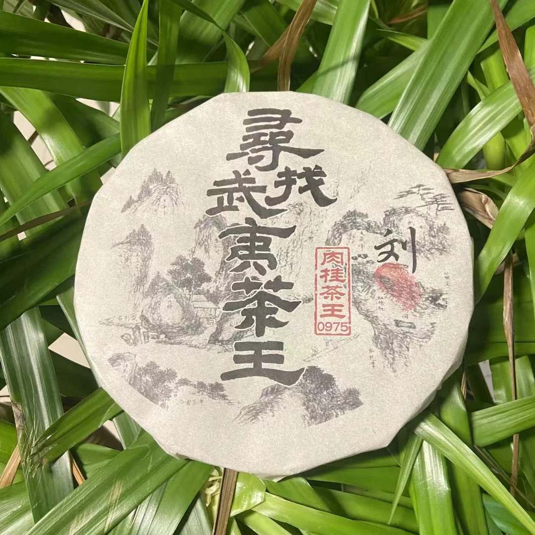 雨腾古茶 寻找武夷茶W肉桂茶W岩茶300g/饼