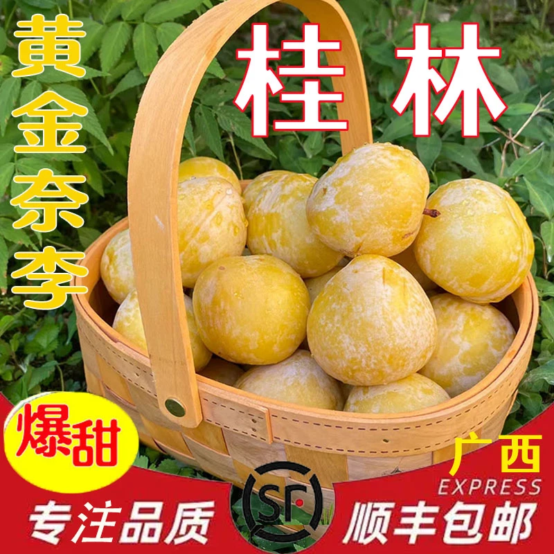 黄金奈李新鲜采摘当季孕妇水果油奈桃形李3/5/9斤多汁纯甜自然熟