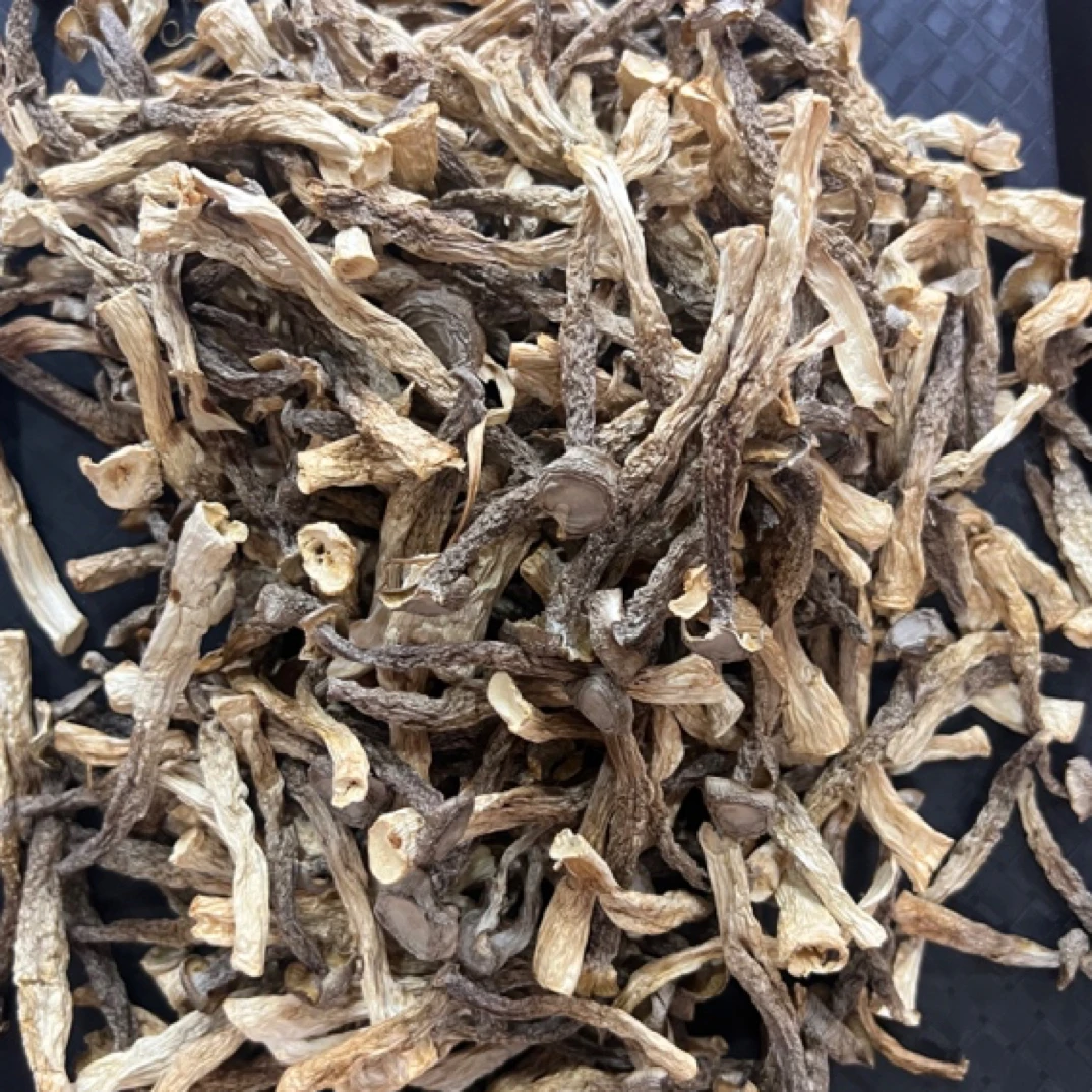 鹿茸菇干货，口感清脆，鲜香浓郁，，炖，炒烹饪简单，100g起包邮送礼