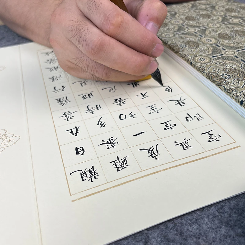 张波手写书法 般若波罗蜜多心经 小楷册页