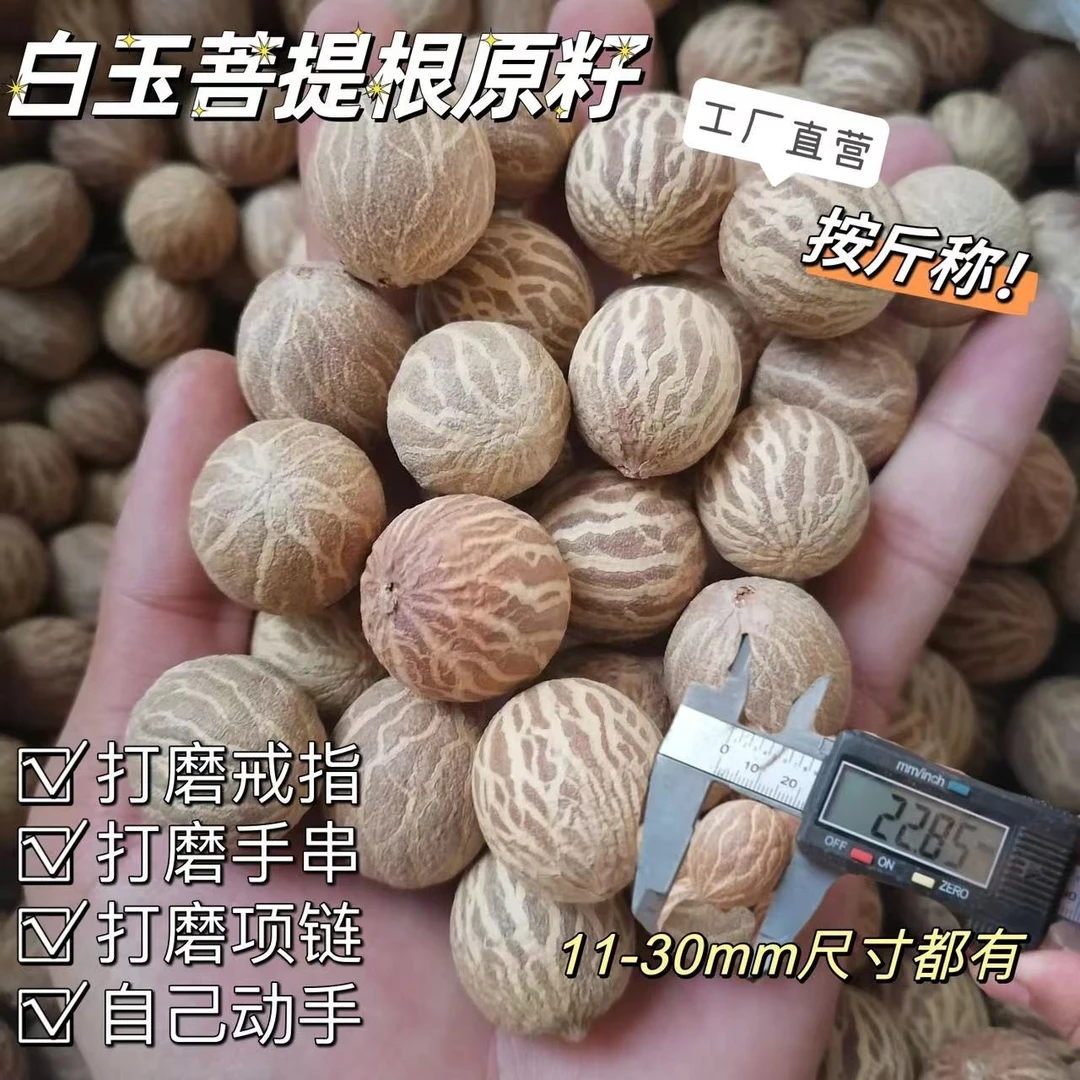 天然精品白玉菩提根子原籽真正品保真批发手串工戒指半成品单颗斤