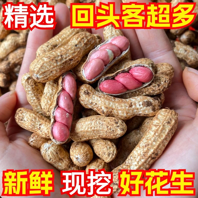 【顺丰包邮】2025年现挖新鲜红皮湿花生鲜花生生吃花生可做水煮花生