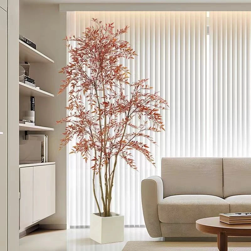 火焰南天竹室内客厅老桩盆景室外庭院耐寒四季常青带土球懒人绿植