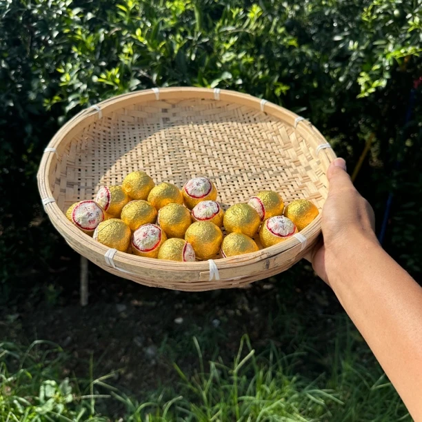 【2019梅江圈枝小青柑普茶】农户货天然生晒自然陈化柑普茶普洱茶