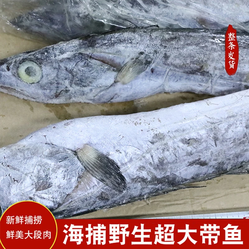 正宗野生新鲜带鱼肉厚海钓冰鲜冷冻保存海鱼海味深海2500g美味