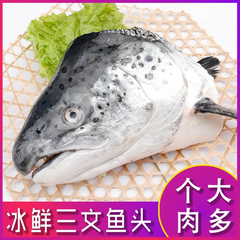 智利进口大个三文鱼头鲜美鱼头三文鱼新鲜海鲜超大冰鲜海鲜水产