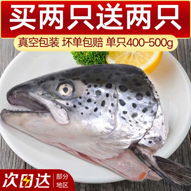 智利进口冰鲜三文鱼头新鲜三文鱼边角料新鲜鱼骨真空包装冷冻鱼头