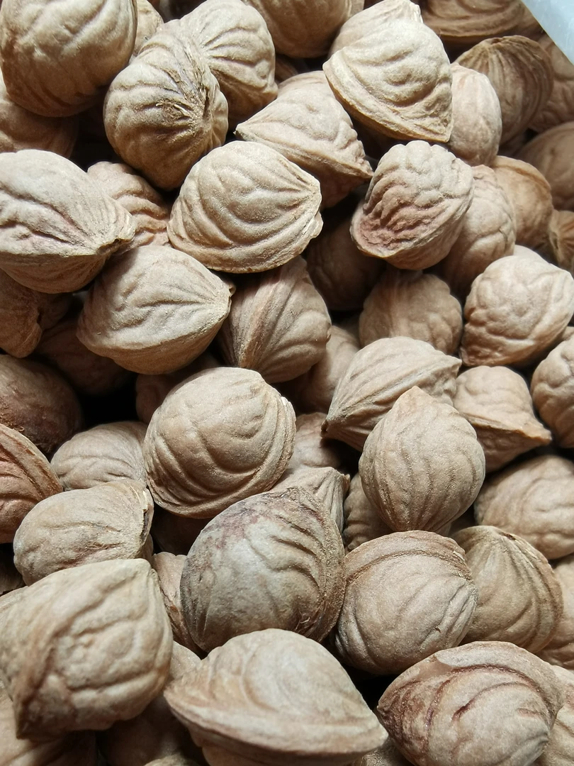 龙纹桃核 雕刻料