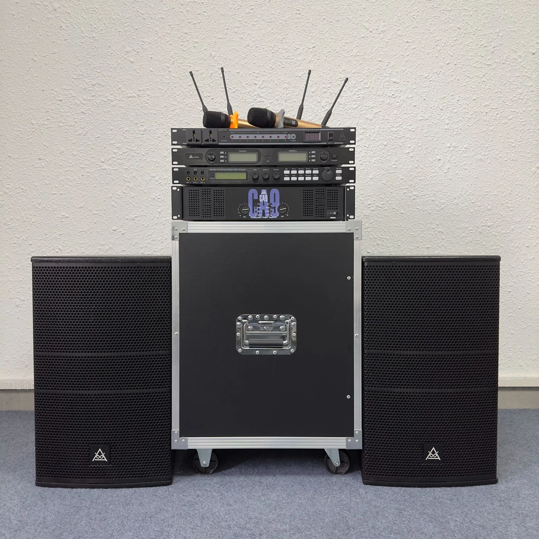 DBA-S12顶配钕磁重低音专业音箱舞台音响k歌专用套装全套家用