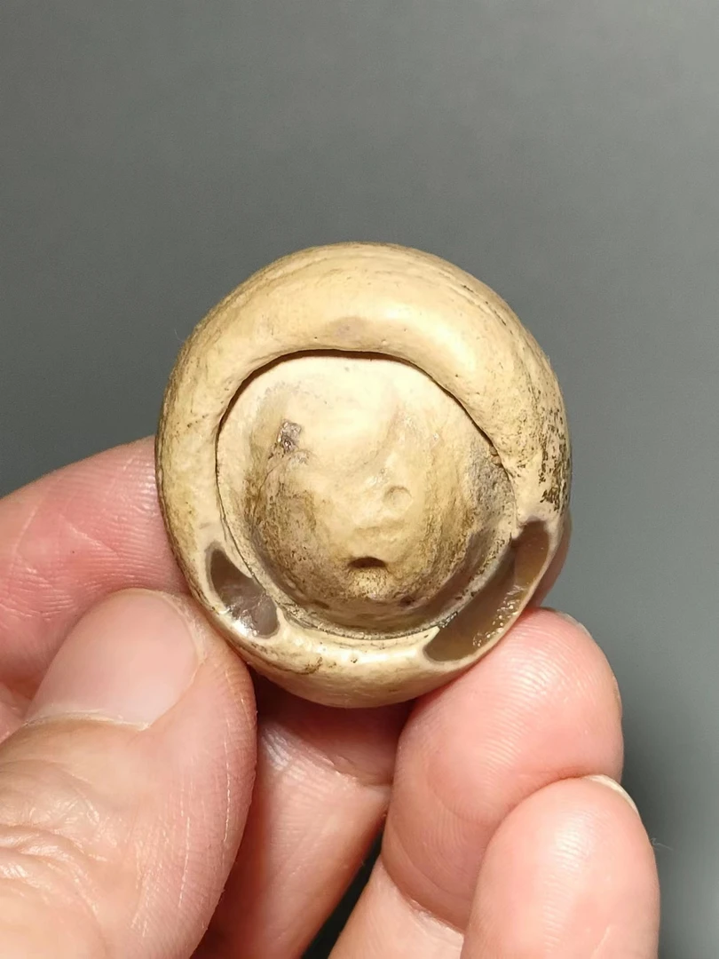 戈壁石原始阿拉善筋脉石沙漠漆付米链接