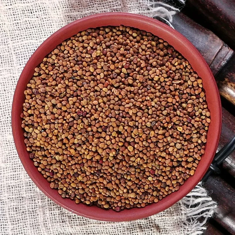 沙苑子正品中药材沙苑子无硫熏沙苑子茶搭配枸杞桑葚子丝子泡水喝