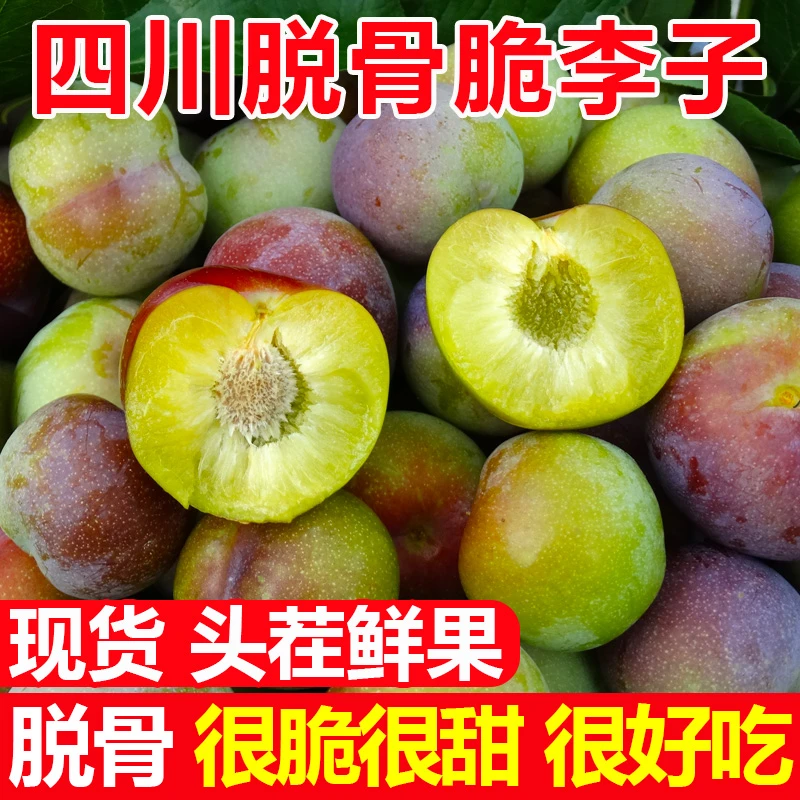 四川脱骨李子新鲜水果李子现货茵红李当季3斤脆甜半边红整箱现摘