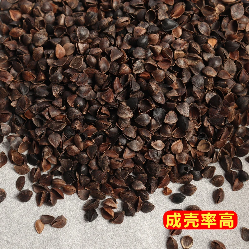 甜荞麦壳散装特级免洗枕芯成人颈椎枕头花草助眠枕头决明子填充物