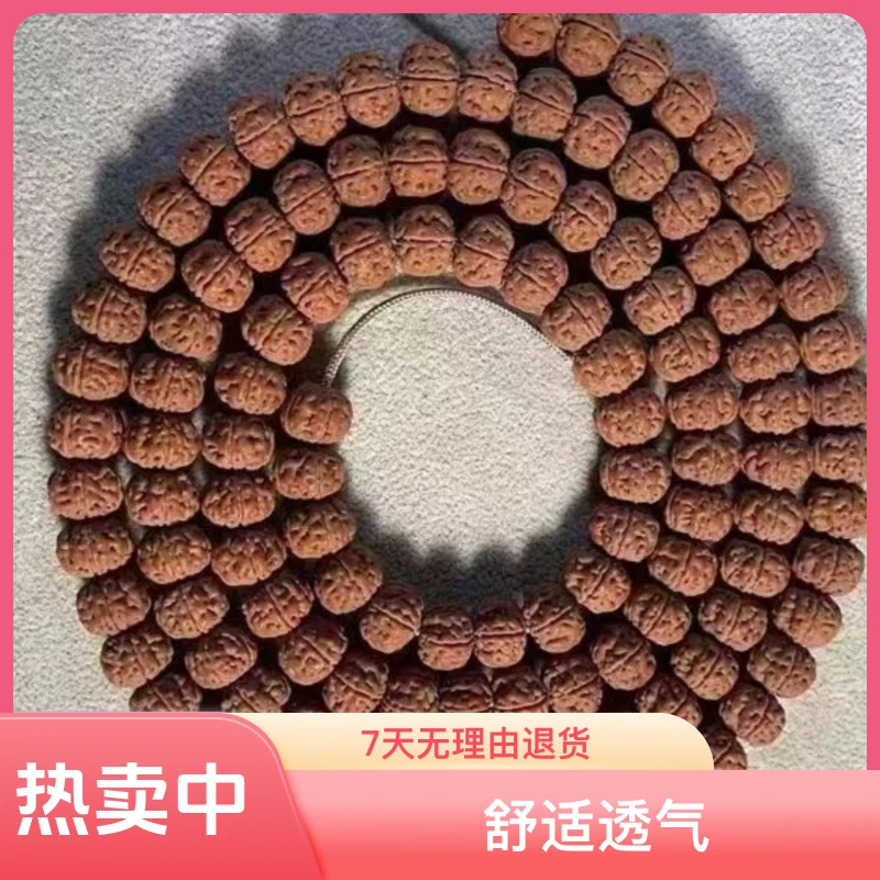 老树王SSS金刚菩提