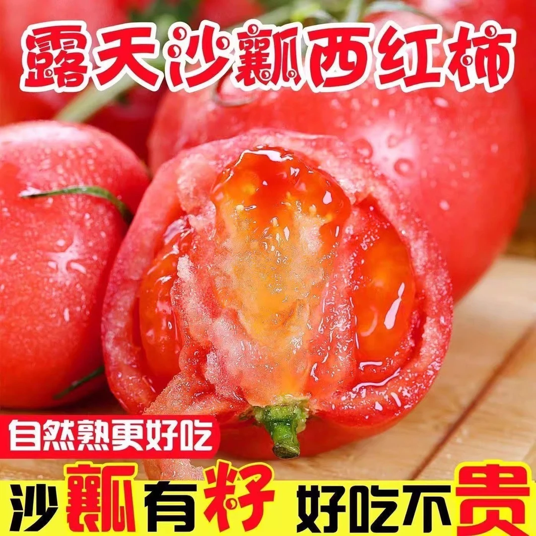 【现摘】沙瓤西红柿番茄沙瓤番茄当季自然熟普罗旺斯蔬菜果