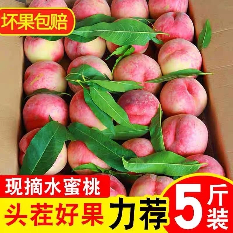 【脆甜水蜜桃】爆甜水蜜桃新鲜当季水果桃子时令大果一整箱批发毛桃