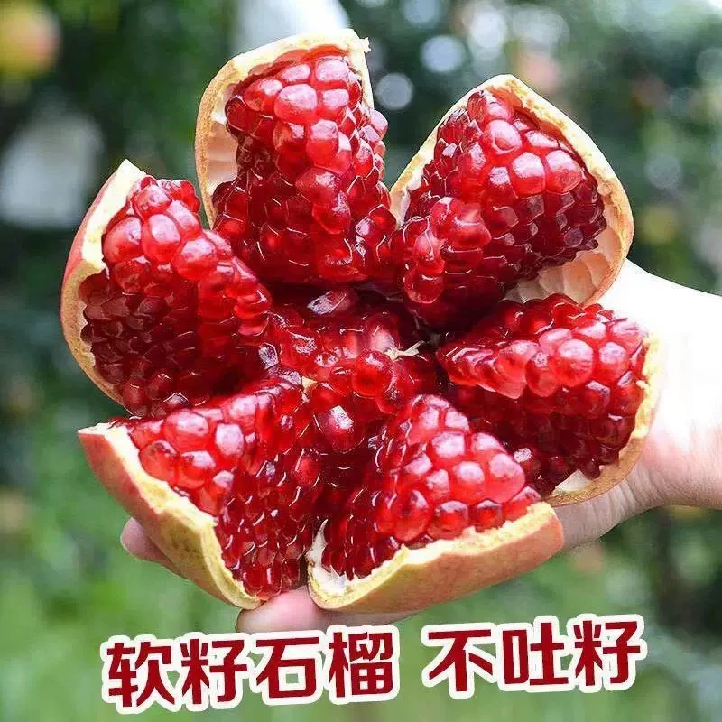会理突尼斯软籽石榴当应季新鲜无籽甜石榴整箱