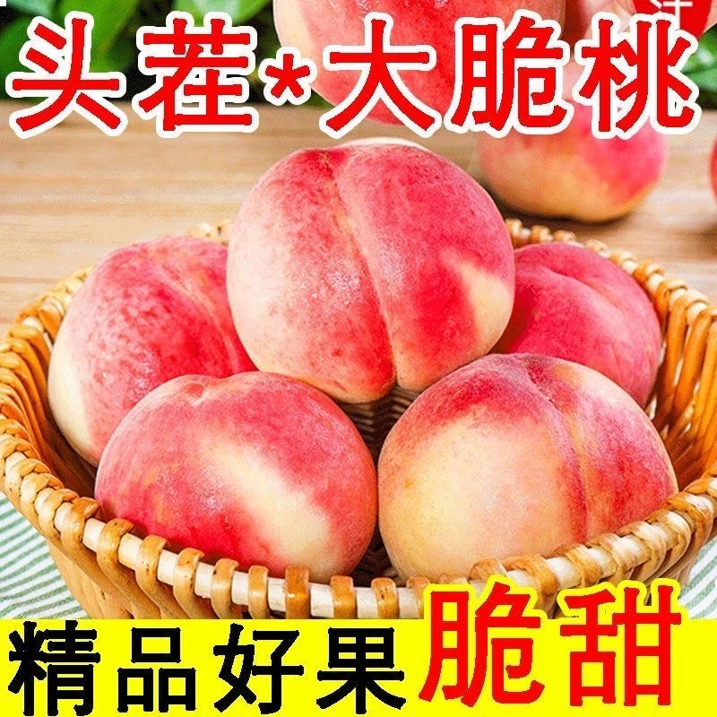【脆甜】脆桃当季新鲜水果脆甜王大果毛桃水蜜桃子