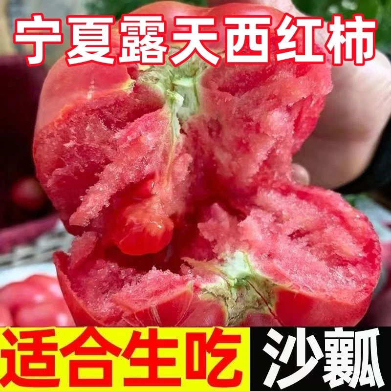 露天西红柿自然成熟产地现摘现发应季生鲜水果