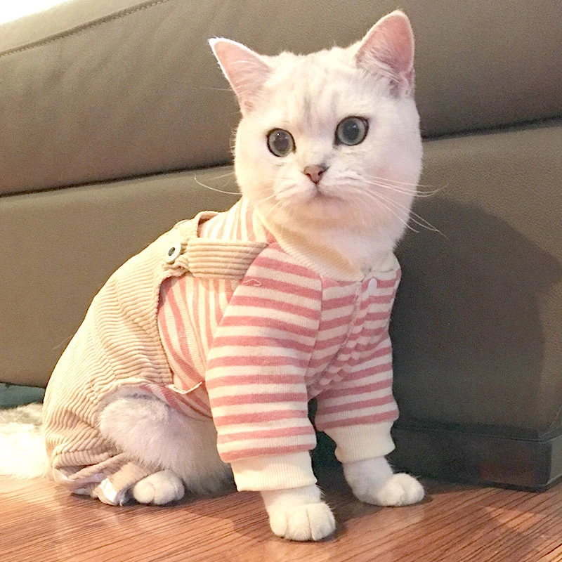 【小扬哥臻选】猫咪衣服幼猫保暖冬季可爱防掉毛宠物秋冬款布偶猫