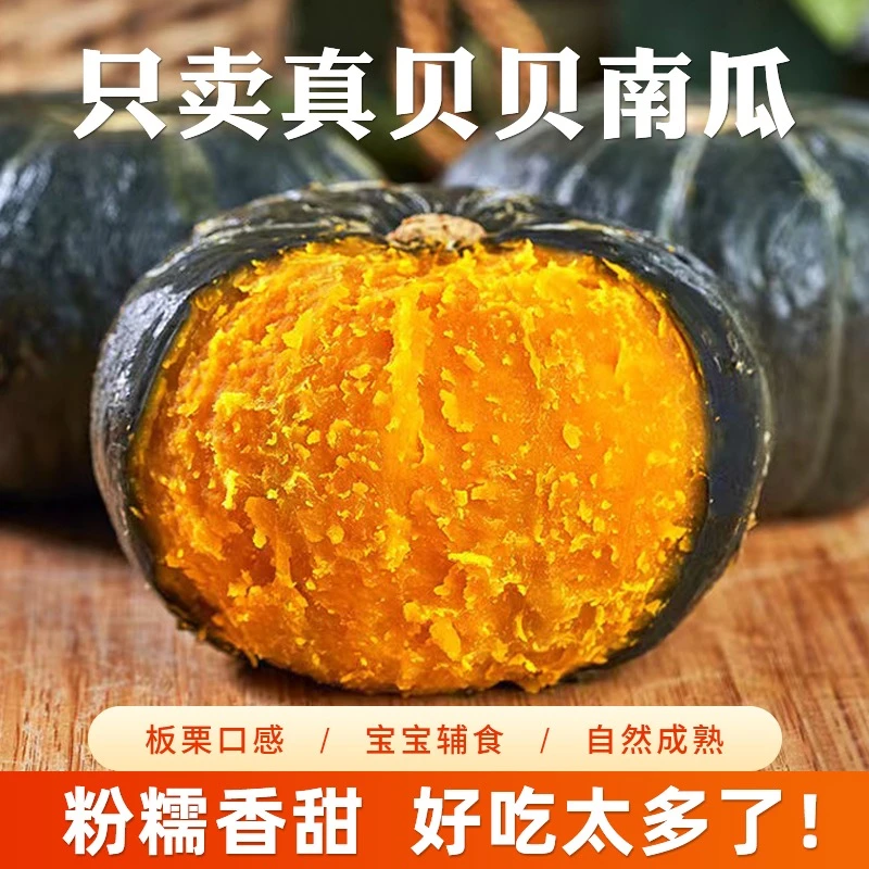 【不粉不面包赔】山东贝贝南瓜板栗南瓜粉糯香甜5斤装4-6个果包邮