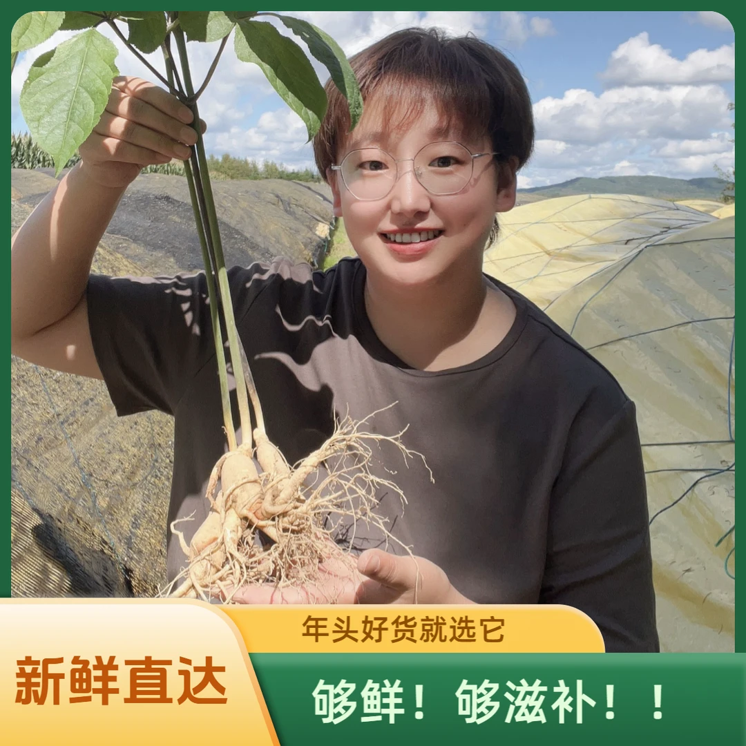 长白山新鲜人参6年参(12-15根)/500克泡酒煲汤滋补鲜参
