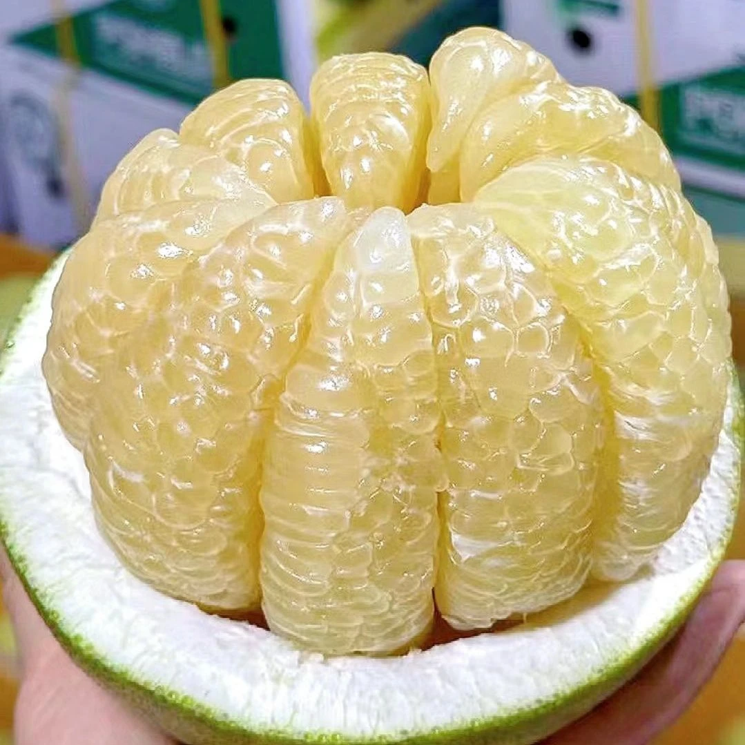 云南 西双版纳 傣柚东试早 纯甜多汁低糖水果