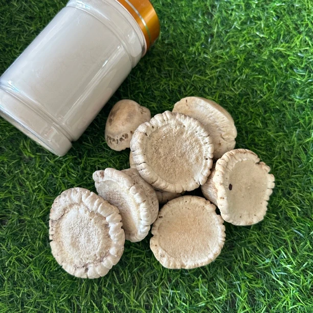 梅花鹿 鹿角帽（可免费打粉）