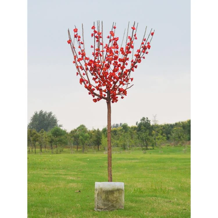 原生骨里红梅花树苗庭院地栽耐寒植物冬季开花卉盆栽老桩树状高杆