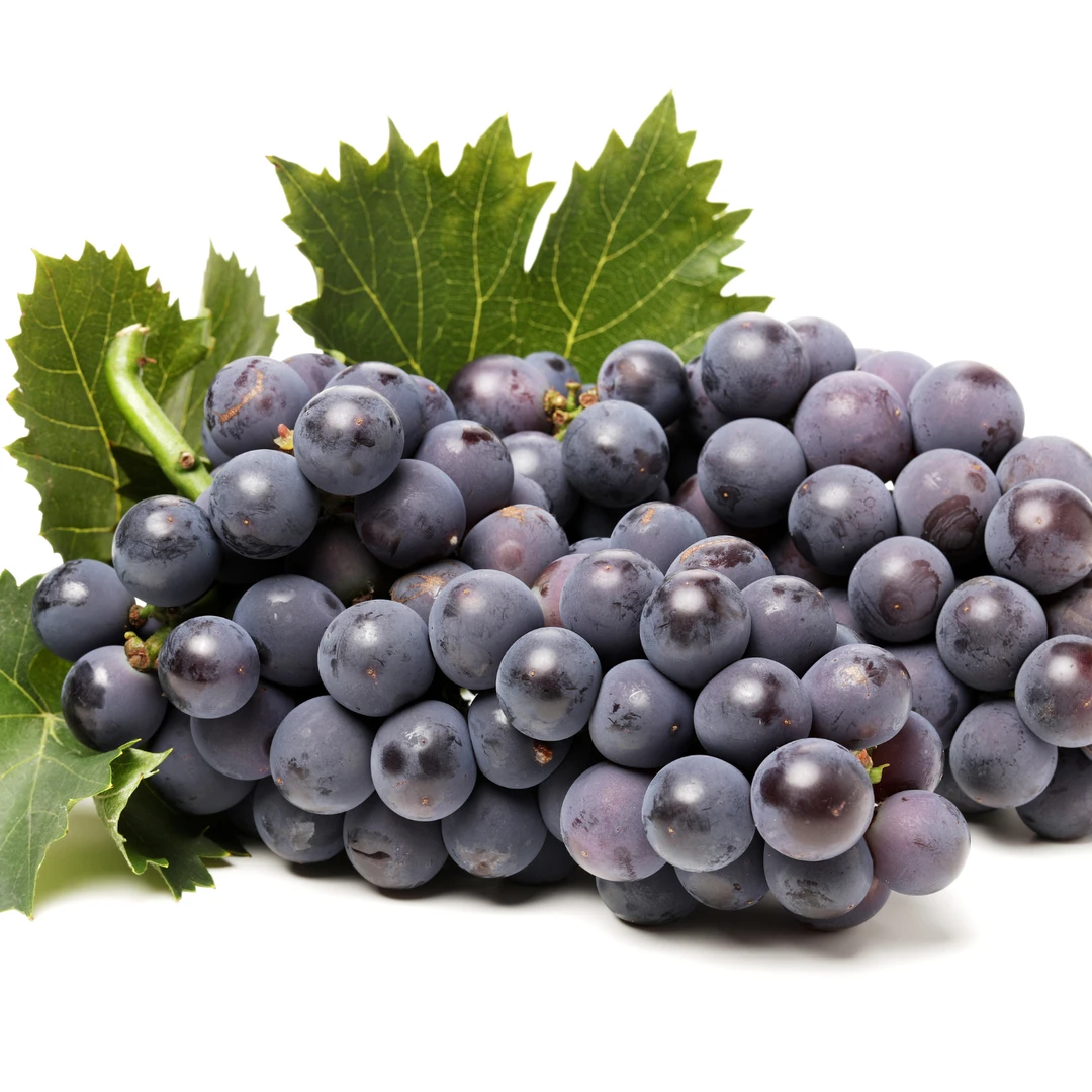 【新鲜下树】巨峰葡萄1串（1.5斤以上）辽宁省