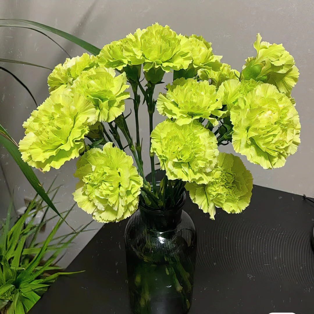 顺丰速运康乃馨鲜花云南昆明斗南基地直发母亲节礼物