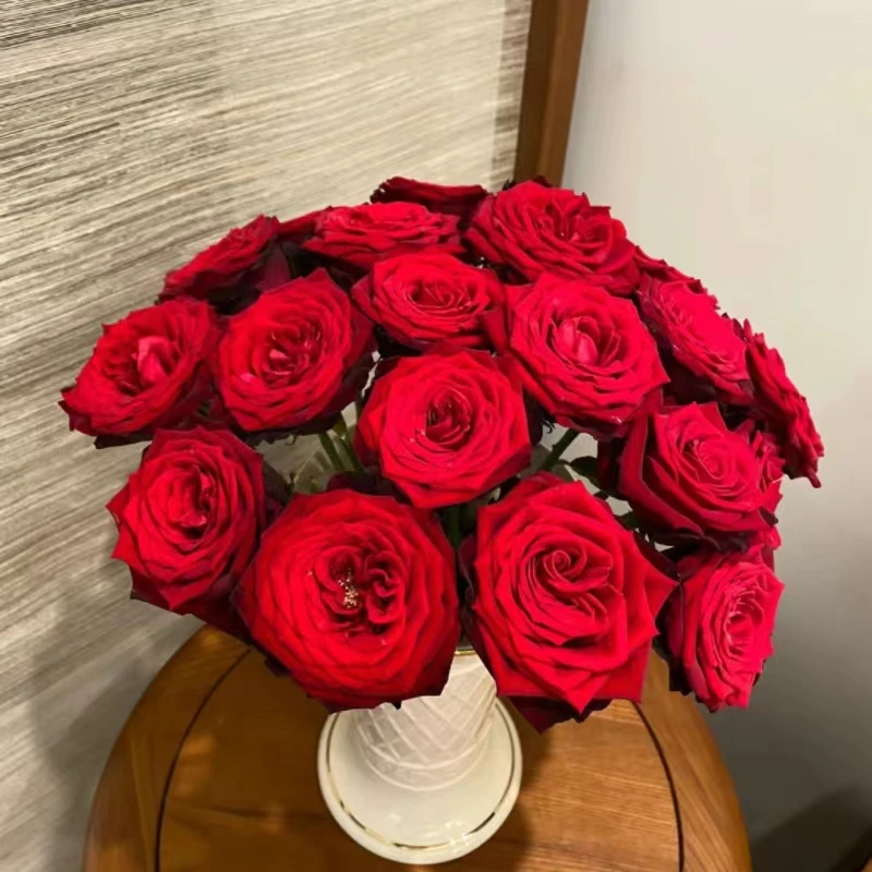 精品卡布奇诺红玫瑰鲜花瓶插水养送礼物云南直发